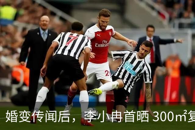 婚变传闻后，李小冉首晒 300㎡复式新家，一人吃饭餐桌格外安静