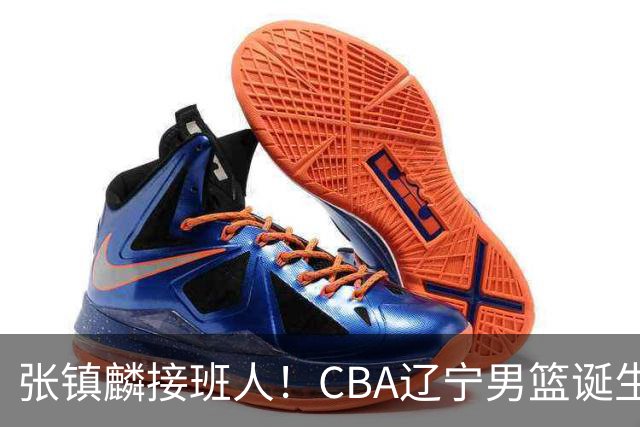 张镇麟接班人！CBA辽宁男篮诞生锋线新星，单场31分10板带队逆转
